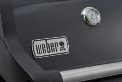 Weber Spirit E-215 GBS 8 Weber Spirit E-215 GBS -Grill und Flamme 46112279 deckel