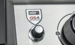 Weber Genesis II EX-315 GBS -Grill und Flamme 61015779 infinity z ndung