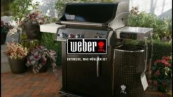 Weber Spirit EPX-315 GBS -Grill und Flamme A7KuH9fPYwM
