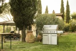 NAPOLEON LEX 605 Gasgrill Edelstahl -Grill und Flamme NAPOLEON LEX 605 Edelstahl 9