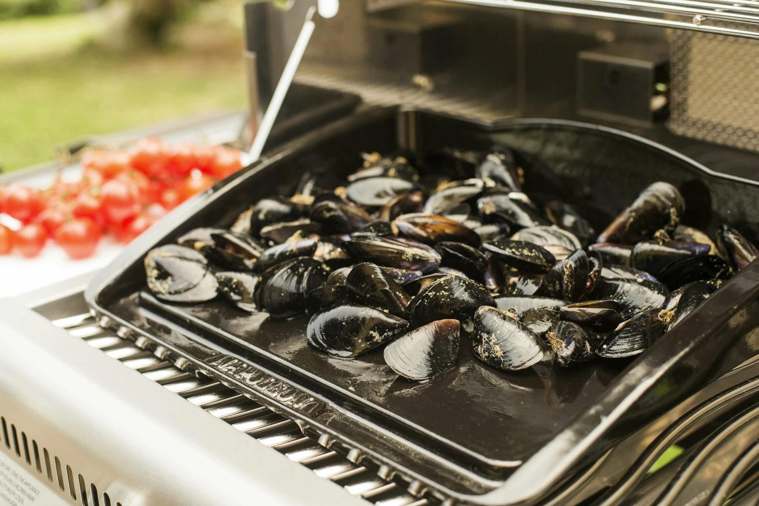 NAPOLEON Gusseiserne Grillplatte Plancha (56090) 2 NAPOLEON Gusseiserne Grillplatte Plancha (56090) – Bild 2