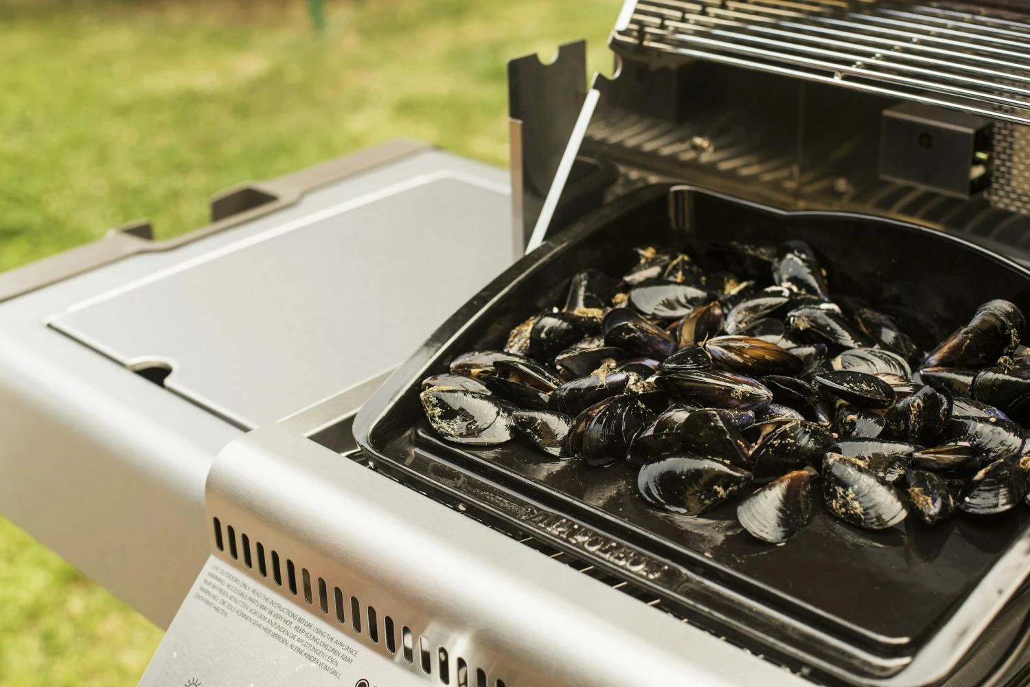 NAPOLEON Gusseiserne Grillplatte Plancha (56090) 4 NAPOLEON Gusseiserne Grillplatte Plancha (56090) – Bild 4