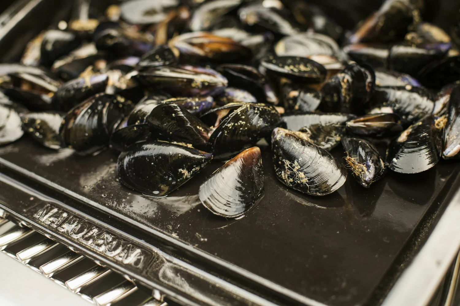 NAPOLEON Gusseiserne Grillplatte Plancha (56090) 6 NAPOLEON Gusseiserne Grillplatte Plancha (56090) – Bild 6