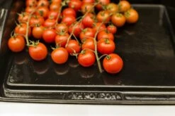 NAPOLEON Gusseiserne Grillplatte Plancha (56090) 14 NAPOLEON Gusseiserne Grillplatte Plancha (56090) -Grill und Flamme NAPOLEON Plancha Porzellan Emailliert 6