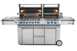 Grill und Flamme 23 Grill und Flamme -Grill und Flamme Napoleon Produktbild 327