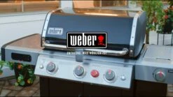 Weber Genesis II EX-315 GBS -Grill und Flamme VH8uBf HQS8