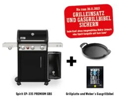 Weber Spirit EP-335 Premium GBS Inkl. Drehspieß