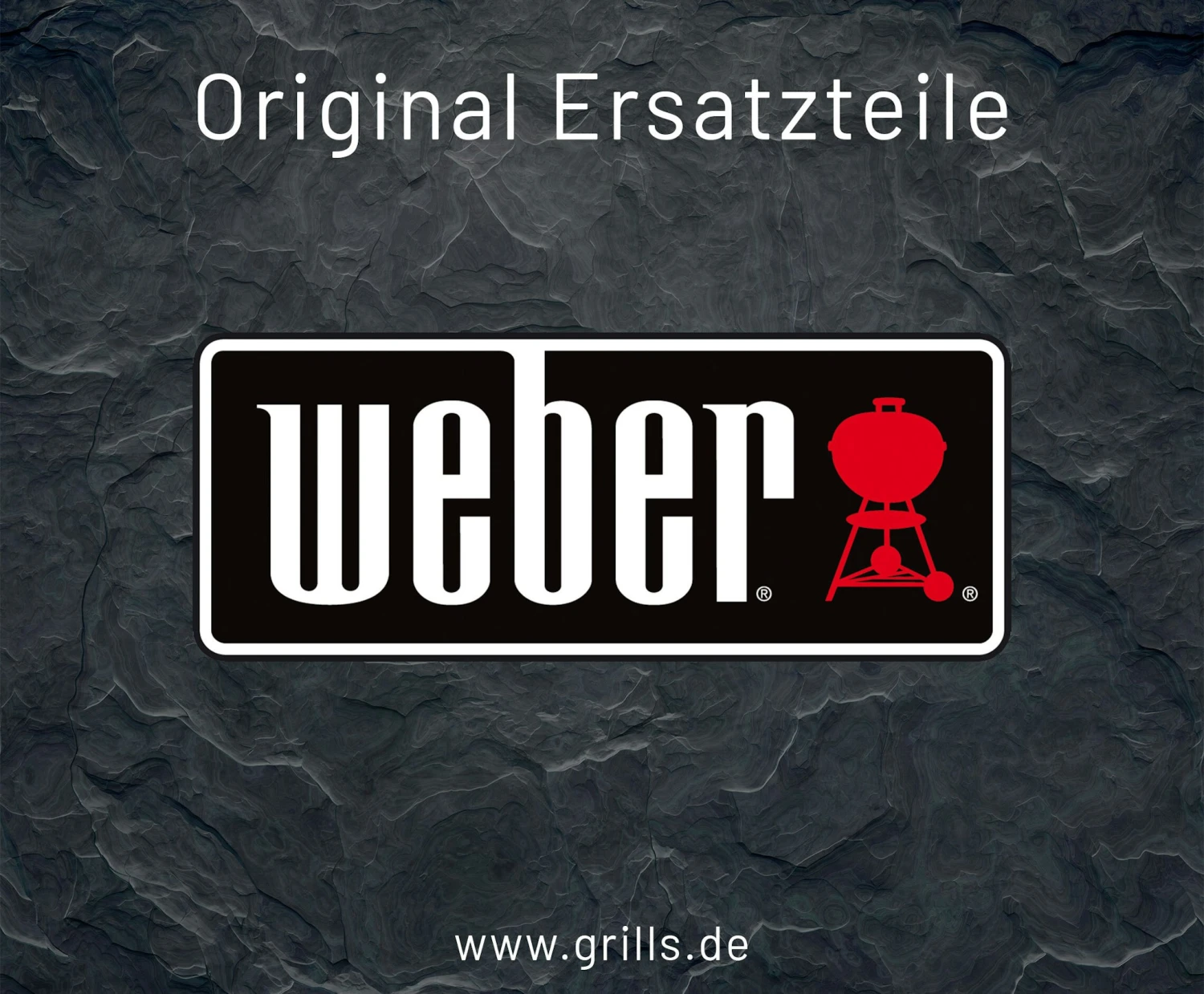 Weber Warmhalterost Genesis II 300 2017 (66044) 1 Weber Warmhalterost Genesis II 300 2017 (66044)